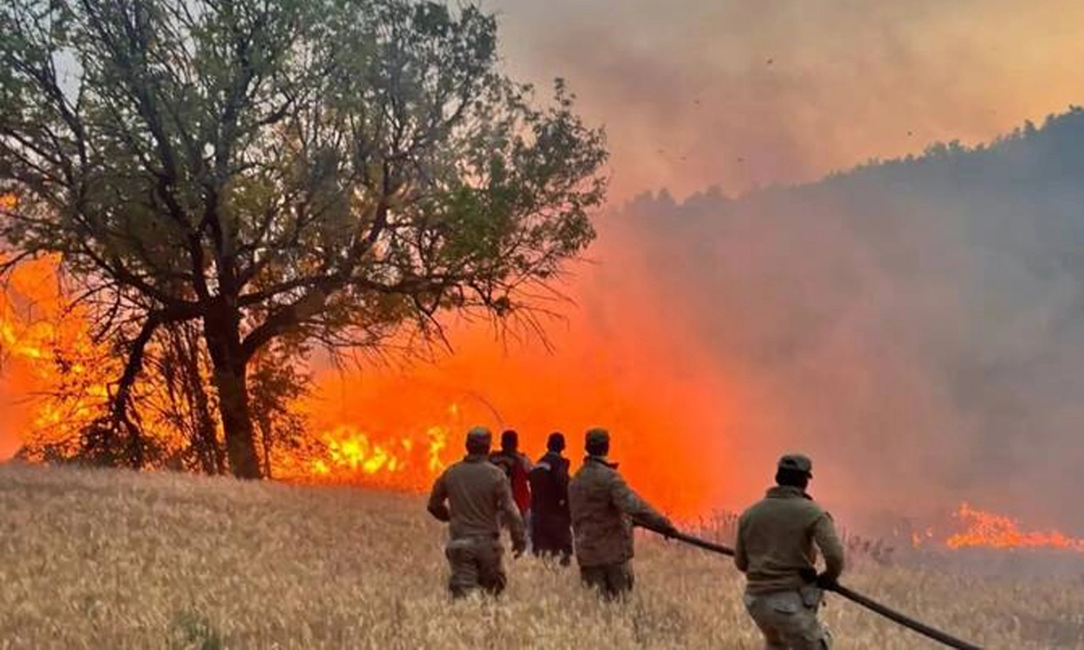 তুরস্কে ভয়াবহ দাবানল: নিহত ১০, আহত ১৪